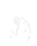 Tusker Tusker
